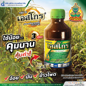 Artboard 3AW เอสโกร AG ปี69 Web